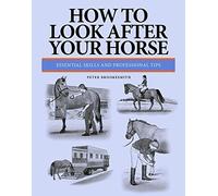 How To Look After Your Horse: Essential Skills and Professional Tips