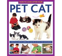 How to Look After Your Pet Cat