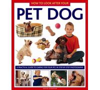 How to Look After Your Pet Dog