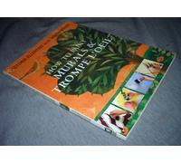 How to Paint Murals and Trompe l'Oeil