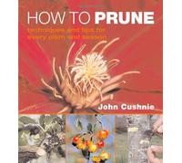 How to Prune