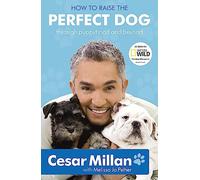 How to Raise the Perfect Dog