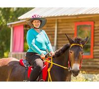 How To Ride A Horse And Not Fall Off