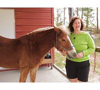 How To Take Care Of A Horse