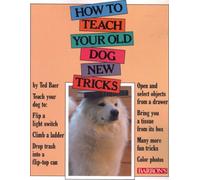 How to Teach Your Old Dog New Tricks