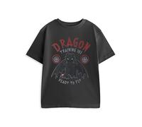 How To Train Your Dragon Boys Black Short Sleeved Graphic Tee | Dragon Training 101 Ready to Fly | Classic Crew Neck Top for Casual Wear Merch - 3-4 Years