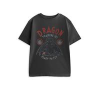 How to Train Your Dragon Boys Grey Training 101 Short Sleeved T-Shirt - 7-8 Years