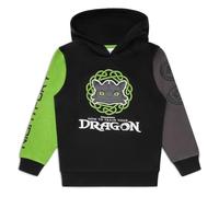 How To Train Your Dragon Boys Hoodie - Black Cotton Jumper with Logo, Long Sleeve Pullover, Ages 6-13 Years (8-9 years)