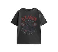 How To Train Your Dragon Boy's Training 101 Short Sleeved T-Shirt | Boys Charcoal | Officially Licensed Merch in Grey | Size: 5-6 Years How To Train Your Dragon Grey 5-6 Years