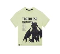 How To Train Your Dragon Boys Tshirt, Toothless Kids T Shirt, Kids Clothes for Summer, Cotton Summer Top, Green 12-13 Years