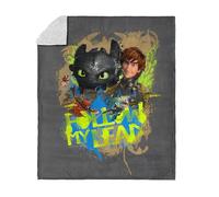 How to Train Your Dragon Follow My Lead Silk Touch Sherpa Throw Blanket 50x60 inches