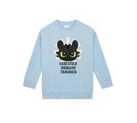 How To Train Your Dragon Girls Sweatshirt, Toothless Girls Jumper, Kids Sweatshirt For Spring, Cotton Jumper, Blue 5-6 Years
