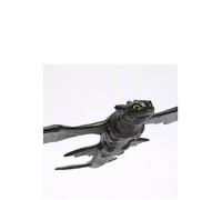 How To Train Your Dragon Gliding Toothless One Colour