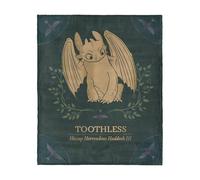 How to Train Your Dragon Hiccup and Toothless Silk Touch Throw Blanket 40x50 inches