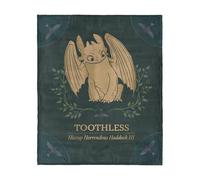 How to Train Your Dragon Hiccup and Toothless Silk Touch Throw Blanket 50x60 inches