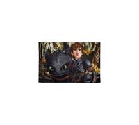 How To Train Your Dragon Kids Wrap Fleece Blanket Throw
