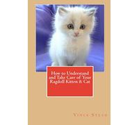 How to Understand and Take Care of Your Ragdoll Kitten & Cat