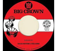 How We Do/Nuthin' But A G Thang [7" VINYL]