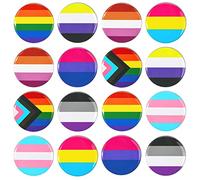HOWAF 16 LGBT Gay Pride Pins Badge Rainbow Lesbian Trans Bisexual Pansexual Non Binary Asexual Flag Pin for LGBT LGBTQ Gay Pride Accessories
