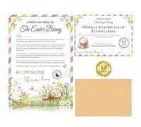 HOWAF Letter from Easter Bunny Kit, A4 Easter Letter Bunny Certificate Good Eggs List Certificate with Envelope Stickers Rabbit Basket Stuffer for Kid Spring Holiday Celebrations, Morning Surprise