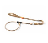 Howgo Dog Slip Lead Dog Leash, Training Leash, No-Pull Lightweight Slip Lead and Collar, Heavy Duty & Durable, Padded Handle, for All Breeds (Brown, 3.6FT)