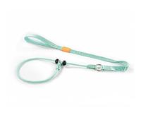 Howgo Dog Slip Lead Dog Leash, Training Leash, No-Pull Lightweight Slip Lead and Collar, Heavy Duty & Durable, Padded Handle, for All Breeds (MintGreen, 3.6FT)
