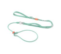 Howgo Dog Slip Lead Dog Leash, Training Leash, No-Pull Lightweight Slip Lead and Collar, Heavy Duty & Durable, Padded Handle, for All Breeds (MintGreen, 5.5FT)