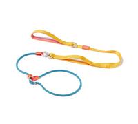 Howgo Dog Slip Lead Dog Leash, Training Leash, No-Pull Lightweight Slip Lead and Collar, Heavy Duty & Durable, Padded Handle, for All Breeds (MultiColor, 5.5FT)
