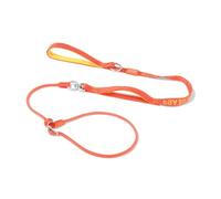 Howgo Dog Slip Lead Dog Leash, Training Leash, No-Pull Lightweight Slip Lead and Collar, Heavy Duty & Durable, Padded Handle, for All Breeds (Orange, 5.5FT)