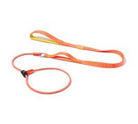 Howgo Dog Slip Lead Dog Leash, Training Leash, No-Pull Lightweight Slip Lead and Collar, Heavy Duty & Durable, Padded Handle, for All Breeds (Orange, 5FT)