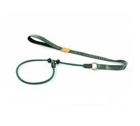 Howgo Dog Slip Lead Dog Leash, Training Leash, No-Pull Lightweight Slip Lead and Collar, Heavy Duty & Durable, Padded Handle, for All Breeds (Green, 3.6FT)