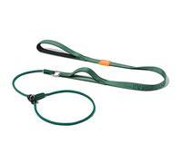 Howgo Dog Slip Lead Dog Leash, Training Leash, No-Pull Lightweight Slip Lead and Collar, Heavy Duty & Durable, Padded Handle, for All Breeds (Green, 5FT)