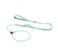 Howgo Dog Slip Lead Dog Leash, Training Leash, No-Pull Lightweight Slip Lead and Collar, Heavy Duty & Durable, Padded Handle, for All Breeds (MintGreen, 5FT)