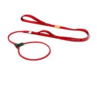 Howgo Dog Slip Lead Dog Leash, Training Leash, No-Pull Lightweight Slip Lead and Collar, Heavy Duty & Durable, Padded Handle, for All Breeds (Red, 5FT)