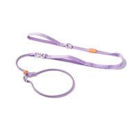HowGo Slip Lead Dog Leash with Double Handles | Reflective Dog Training Leash with 360° Swivel Anti-Tangle | Heavy-Duty Lead and Collar for Large Medium and Small, No-Pull Walking (Lavender, 5.5FT)