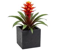 HowHomely Flower Pot Planter Black 30 x 30 x 30 cm Planter Planter on Wheels Concrete Structure Modern for Garden Balcony Patio