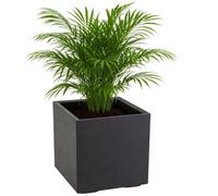 HowHomely Flower Pot Planter Black 40 x 40 x 40 cm Planter on Wheels Concrete Structure Modern for Garden Balcony Patio