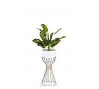 HowHomely Modern Flower Stand Metal 46 cm High with White Flower Pot Round 18 cm Diameter on Robust Gold Stand - Plant Stand for Decoration Indoor Use