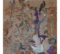 HOWIE LEE - BIRDY ISLAND