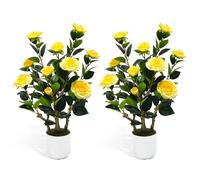 Howngyesimu 2Pack Artificial Camellia Tree, 2FT Fake Tree Blooming Camellia Flower Plant for Spring Home Front Door Outdoor Indoor Decoration,Yellow