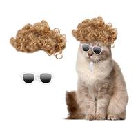 HOWWFALY Cat Apparel Cat Gold Afro Wig with White Small Glasses Styling Cute Funny Pet Hair Accessories Decoration for Halloween, Christmas, Parties