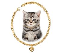 HOWWFALY Dog Collar and Cat Chain Necklace Stainless Steel Adjustable 18K Gold Heart-Shaped Necklace for Small Pets Cats Kitten Puppy (Gold, 7 inch)