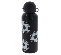HOX 500ml Single Wall Stainless Steel Flip-Top Lid Water bottle | Eco-Friendly Reusable BPA-free | rust-resistant, Leak & Spill Proof | Ideal for Travel, Gym, Sports