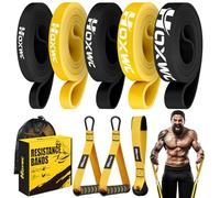 HOXWC Resistance Bands, Heavy Duty Pull Up Resistance Band with Door Anchor, Handles, Exercise Bands for Working Out Men&Women, Ideal for Pull Up, Muscle Training, Physical Therapy, and Home Workouts