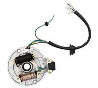 Hoypeyfiy 2 Coil Ignition Magneto Stator Plate 50 70 90 110 125cc Replacement for Taotao ATV Quad Dirt Kick Bike 4 Wheeler Kick Start Pit Dirt Bike ATV Go Kart Quad Scooter Buggy