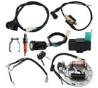 Hoypeyfiy Complete Electric Wiring Harness Loom Set Ignition Coil Engine Kit with Spark Plug CDI Box for 49cc 50cc 80cc 90cc 100cc 110cc 125cc ATV Quad Dirt Bike