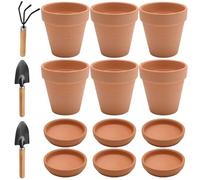 Hoypeyfiy Pack of 6 Small Terracotta Plant Pots 10 x 10 cm Flower Pots Clay Pots with Saucer and Drainage Hole Succulent Pots for Plants Crafts Wedding Gift