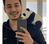 Hozaenwa Panda Plush Toys | Realistic Tabletop Pandas Plush Toy | Cute Stuffed Animal Doll, Emotional Soothing Companion for Bedroom Table Shelf Study Living Room Nursery