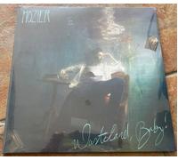 Hozier Wasteland Baby Double Black 180gram Vinyl LP Sealed
