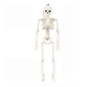 HOZZAVOX Halloween Posable Skeleton Decor Set - 40/90cm Life - Size Human & Animal (Dog/Frog/Bird) Skeletons, Movable Joints for Outdoor/Indoor Halloween Props & Gothic Decor(40cm skeleton figure)